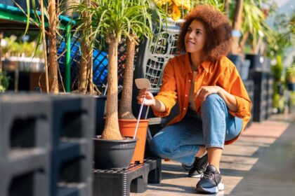 large outdoor planters